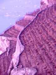Lavaux4.JPG