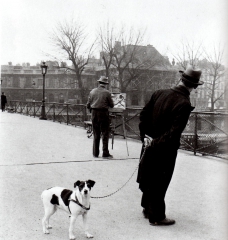 fox-terrier-sur-le-pont-des-arts-avec-le-peintre-daniel-pipart-paris-1953.jpg